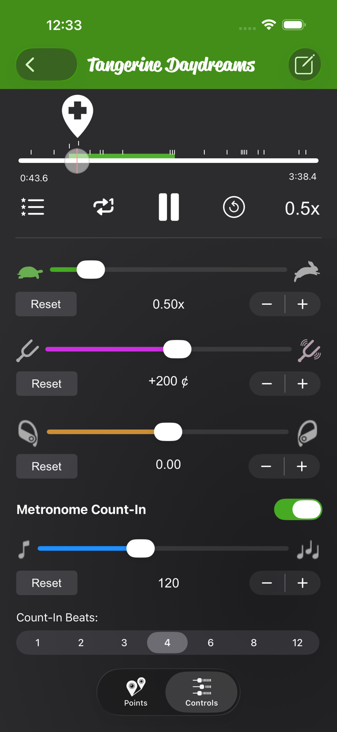 Controls tab with the speed slider dragged left to 0.50x