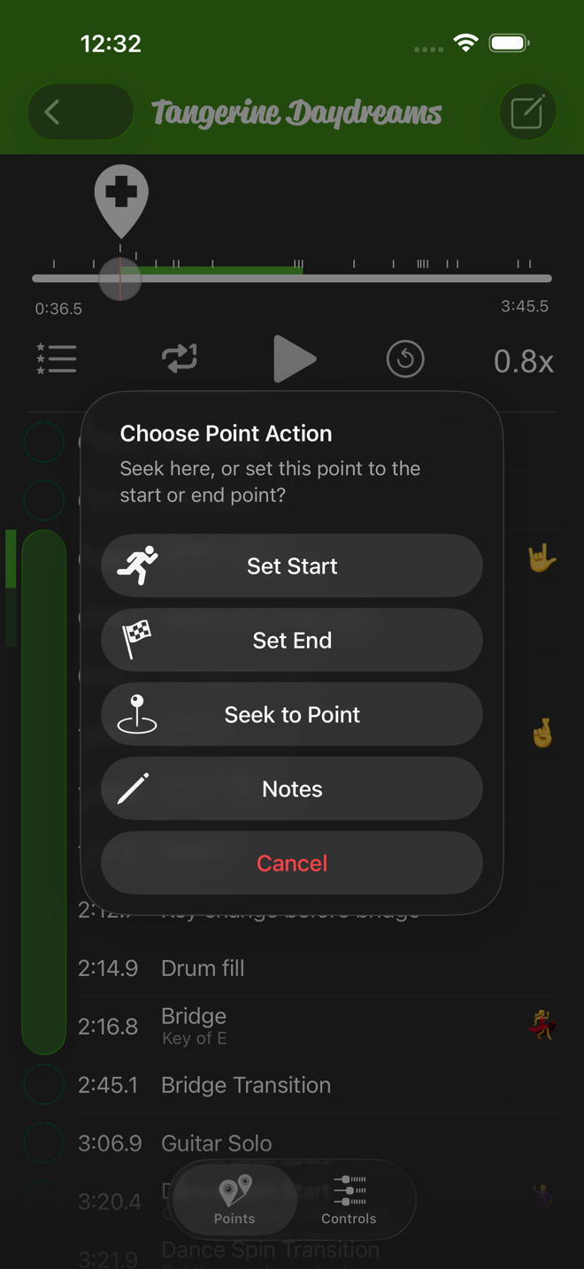 The Choose Point Action alert with Set Start, Set End, Seek to Point and Notes